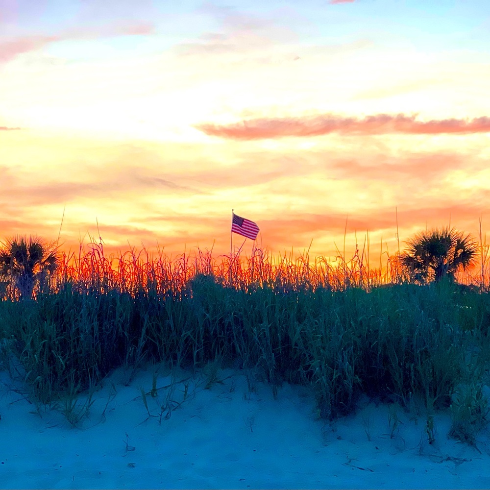 Meet your Posher, Terri